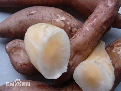 雪蓮果怎么吃？雪蓮果的功效與作用