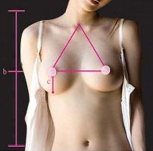 胸圍怎么算？你的胸圍是否標(biāo)準(zhǔn)？女人完美乳房標(biāo)準(zhǔn)詳細(xì)圖解