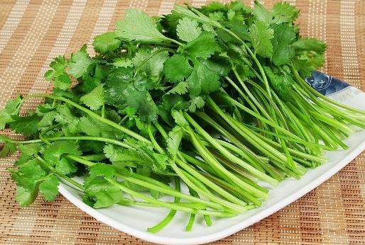 香菜怎么保存時(shí)間更長？香菜保鮮的方法