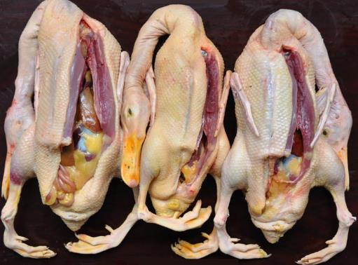 如何鑒別鴨肉是否鮮嫩？鑒別鴨肉老嫩的技巧