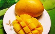 經(jīng)期吃芒果危害大？經(jīng)期可以吃芒果