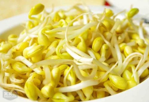 如何發(fā)黃豆芽？家庭怎么發(fā)黃豆芽