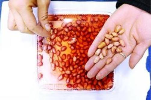 如何鑒別染色花生米？怎樣識別真假花生米