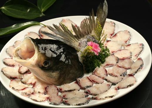 如何辨別常見的淡水魚？常見淡水魚的鑒別方法