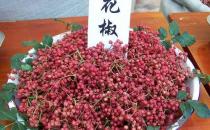 如何識別有毒花椒？毒花椒的鑒別方法