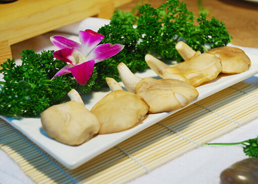 鮑魚菇的做法-鮑魚菇的營養(yǎng)價值