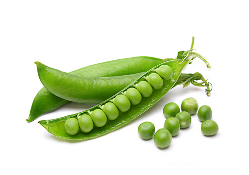 豌豆的營(yíng)養(yǎng)價(jià)值-豌豆的做法