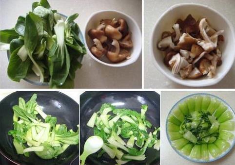 油菜怎么做好吃？油菜的做法大全