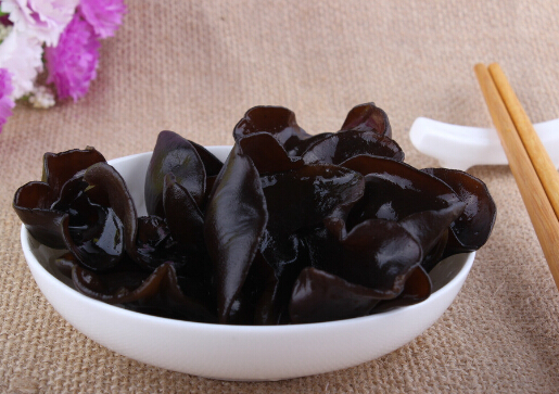 海帶要用蒸汽發(fā)-干貨泡發(fā)小學(xué)問(wèn)