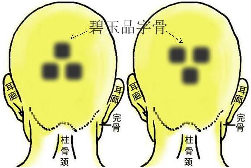 骨相圖解：碧玉品字骨