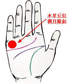 水星丘紅潤(rùn)而隆起