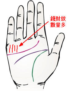 錢(qián)財(cái)紋數(shù)量多