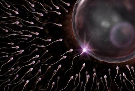 精子成活率低怎么辦？精子成活率低吃什么食物好