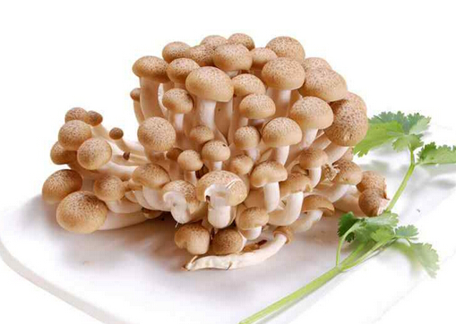 孕婦能吃蟹味菇嗎？吃蟹味菇有什么好處