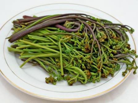 孕婦吃蕨菜有什么好處？孕婦吃蕨菜的做法
