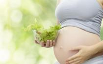 孕婦吃什么好？孕婦飲食能影響孩子壽命？