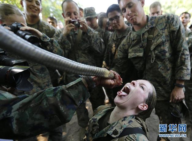 2013“金色眼鏡蛇”聯(lián)合軍演演習，美軍士兵生吃眼鏡蛇血組圖