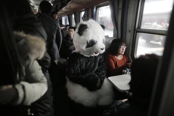 行為藝術(shù)？旅客穿熊貓玩偶服扮成大熊貓體驗春運(yùn)遭圍觀