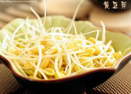 孕婦能吃黃豆芽嗎？孕婦吃黃豆芽的做法