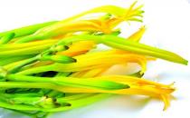 孕婦能吃黃花菜嗎？魚腥草對孕婦好嗎？