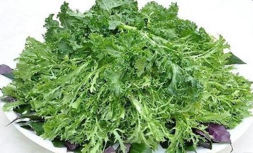 野菜可以吃嗎？孕婦吃野菜有什么好處？