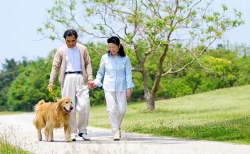 脾胃濕熱的癥狀-脾胃濕熱喝什么茶？