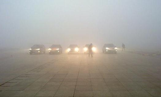霧霾天吃什么食物有利于健康？