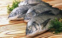 魚的哪些部位比較有營養(yǎng)？洗魚有什么技巧？