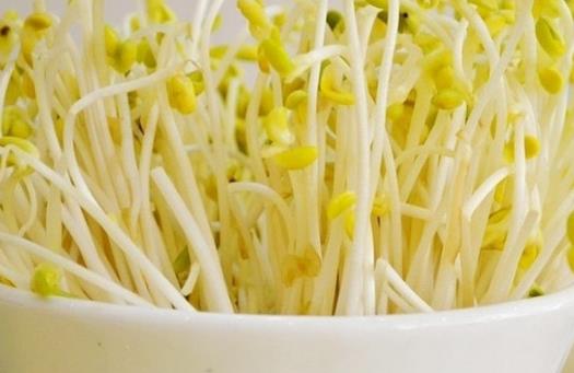 黃豆芽和綠豆芽哪個(gè)營(yíng)養(yǎng)價(jià)值更高