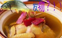 腫瘤患者不能吃發(fā)物？