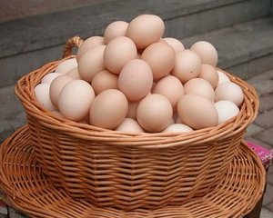 哪種蛋類的營養(yǎng)價值更高