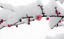 ?已經(jīng)立冬了，祝你冬天快樂