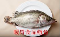 冬季可以吃哪些暖胃食物？