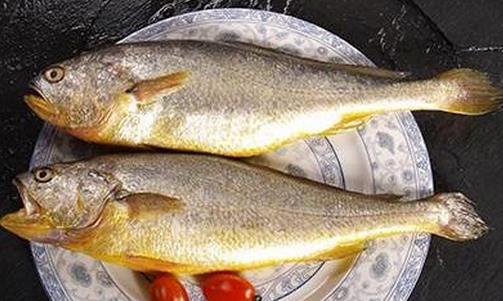 黃花魚有什么營養(yǎng)價值？孕婦能吃黃花魚嗎？