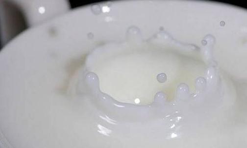 牛奶需要煮嗎？喝牛奶有哪些禁忌？