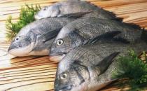 活魚(yú)活吃并不好 魚(yú)要怎么吃才健康