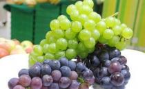 盤點五種葡萄的功效 哪種葡萄加工食品好？