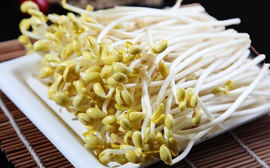 發(fā)芽的食物究竟能不能吃？
