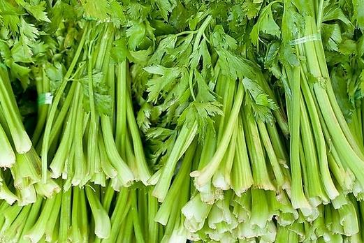 芹菜有哪些藥用功效？吃芹菜可預防動脈硬化