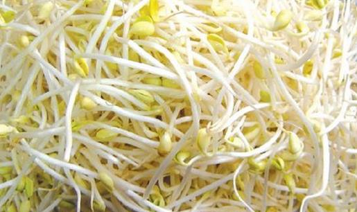 毒豆芽危害大 如何鑒別毒豆芽？