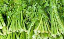 芹菜有哪些藥用功效？吃芹菜可預(yù)防動脈硬化