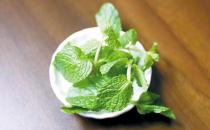 薄荷是什么？薄荷對家居環(huán)境的影響