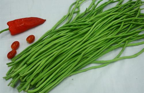 補(bǔ)腎壯陽必吃的7道家常菜