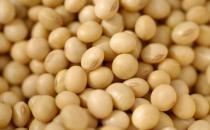 吃什么對乳房好？保護乳房的食物推薦