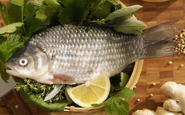 鯽魚_鯽魚的營養(yǎng)價(jià)值,營養(yǎng)成分,功效與作用,鯽魚的做法大全 鯽魚_鯽魚的營養(yǎng)價(jià)值,營養(yǎng)成分,功效與作用,鯽魚的做法大全