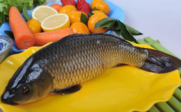 鯉魚_鯉魚的營養(yǎng)價值,功效與作用,鯉魚怎么做好吃,鯉魚的做法大全 鯉魚_鯉魚的營養(yǎng)價值,功效與作用,鯉魚怎么做好吃,鯉魚的做法大全