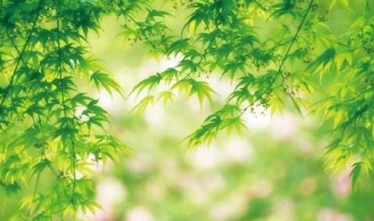 中國空氣凈化器行業(yè)的特征
