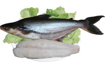 鱈魚_鱈魚的營養(yǎng)價(jià)值,營養(yǎng)成分,功效與作用,鱈魚的做法大全 鱈魚_鱈魚的營養(yǎng)價(jià)值,營養(yǎng)成分,功效與作用,鱈魚的做法大全