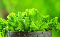 冬季排毒吃什么好？11種食物吃掉體內(nèi)毒素