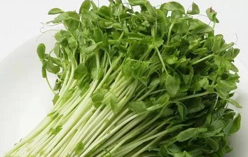 吃什么瘦臉？十款食物幫你成就小V臉